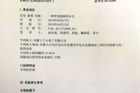 一种管道抢修焊补头